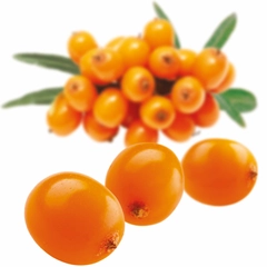 Fruktpure tindved / havtorn 100% - 6x1kg Latvia