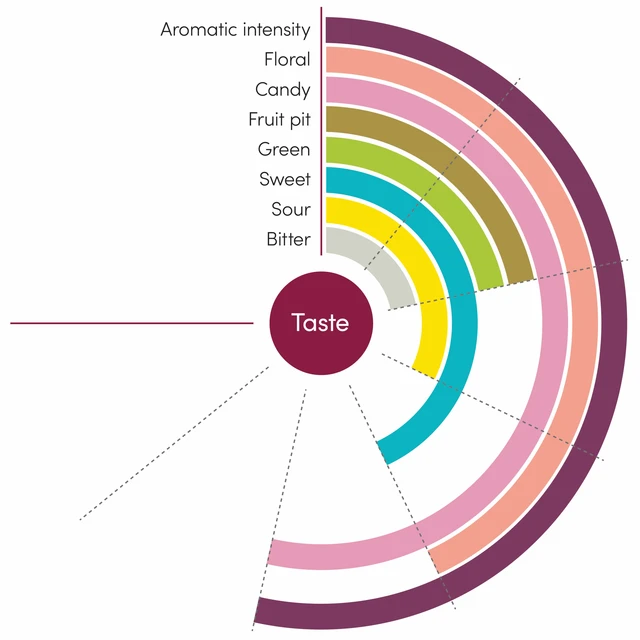 Fruktpure lilla plomme 100% Serbia 