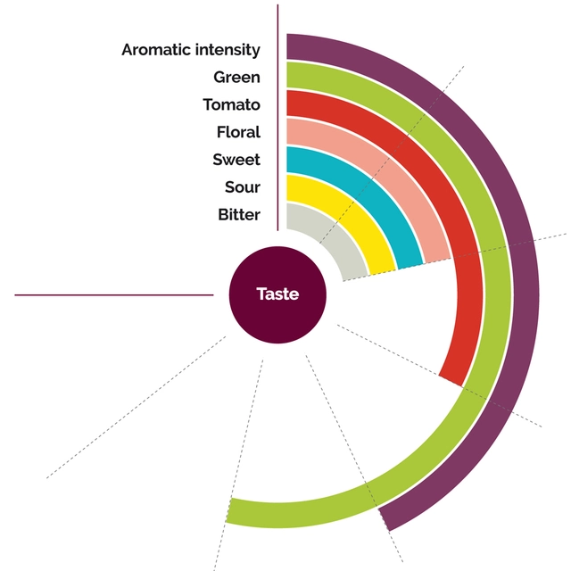 Fruktpure rosa guava 100% - 1kg Brasil, India, Vietnam 