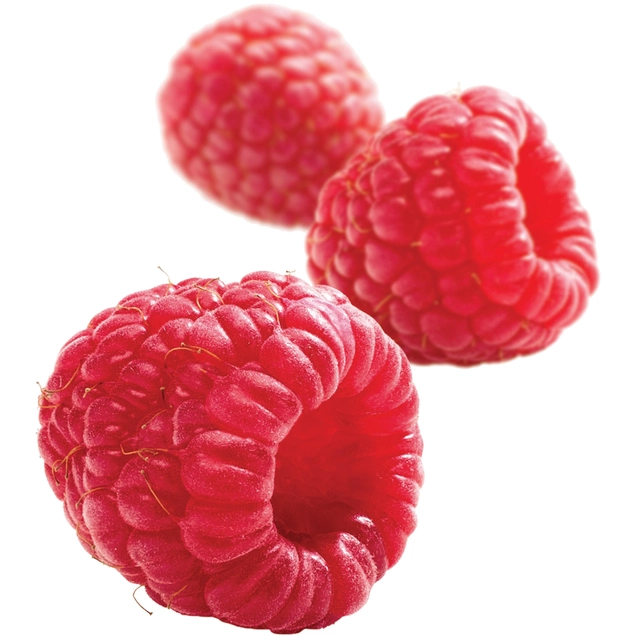 Fruktpure bringebær 100% - 10kg Serbia 