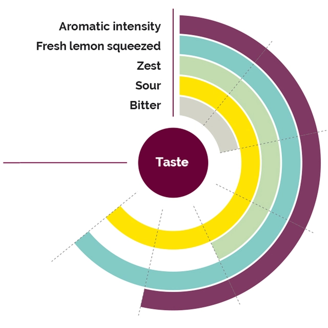 Fruktpure sitron 100% - 6 x 1kg Italia 